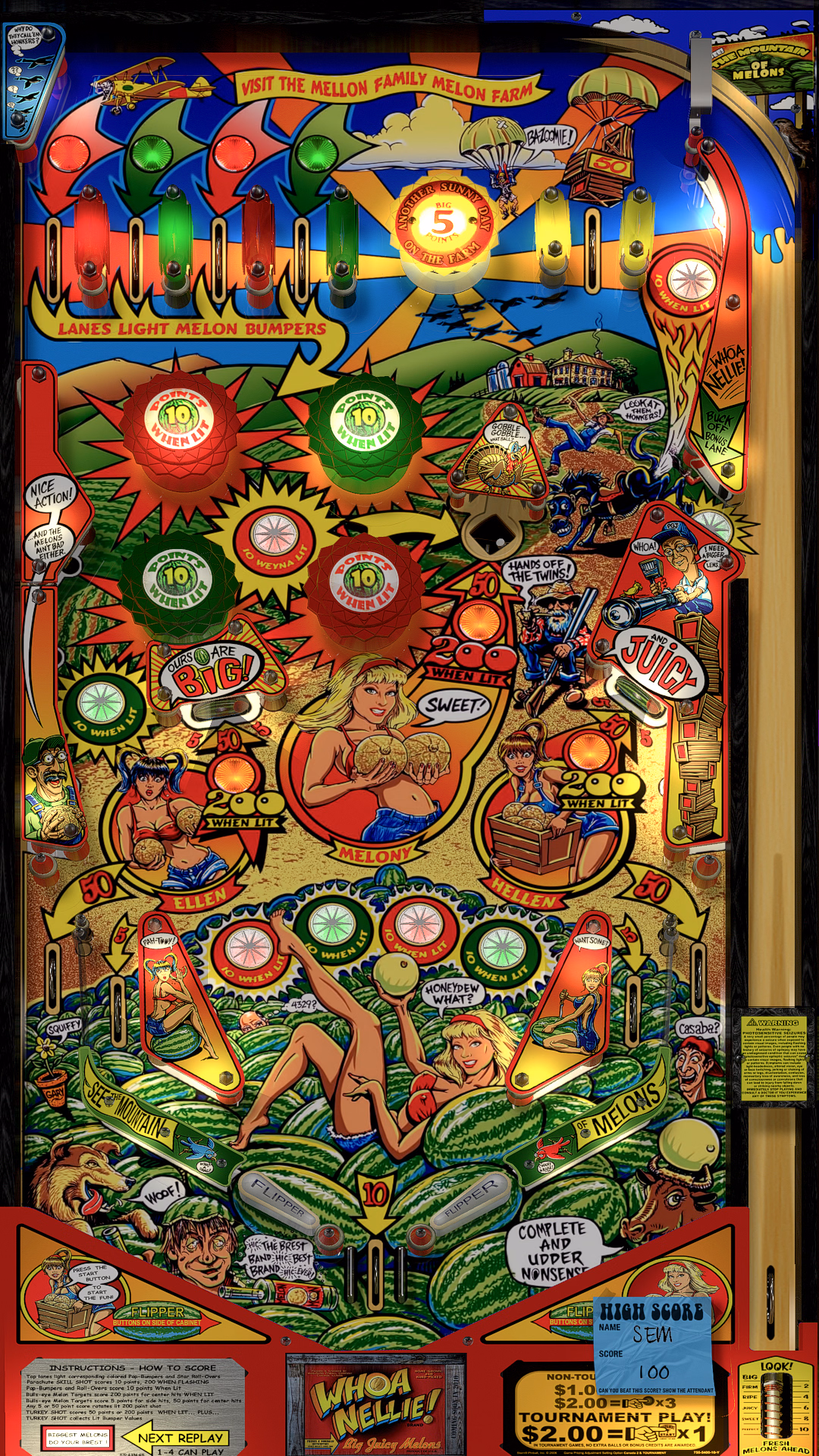 Whoa Nellie playfield viewed from the two short green flippers